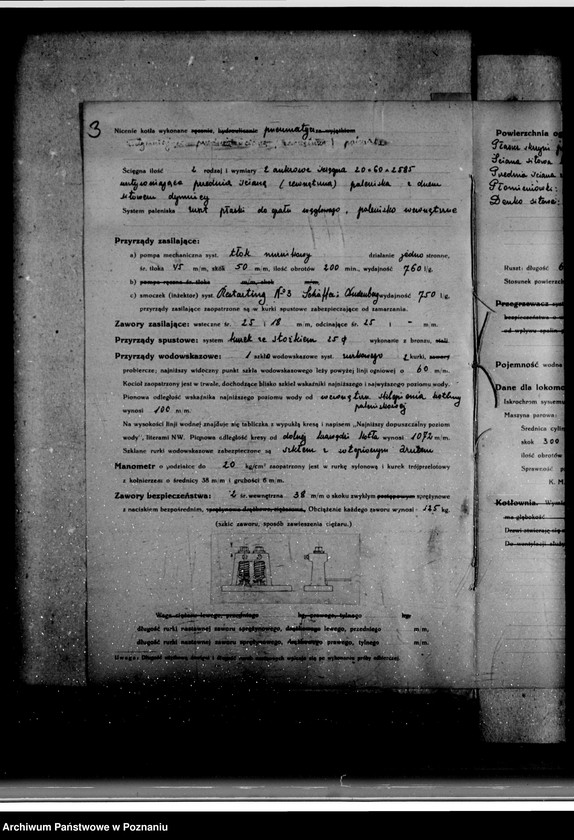 Obraz 7 z jednostki "Majętność Neryngowo powiat wrzesiński własność Nowaczyk nr woj. kotła 5800"