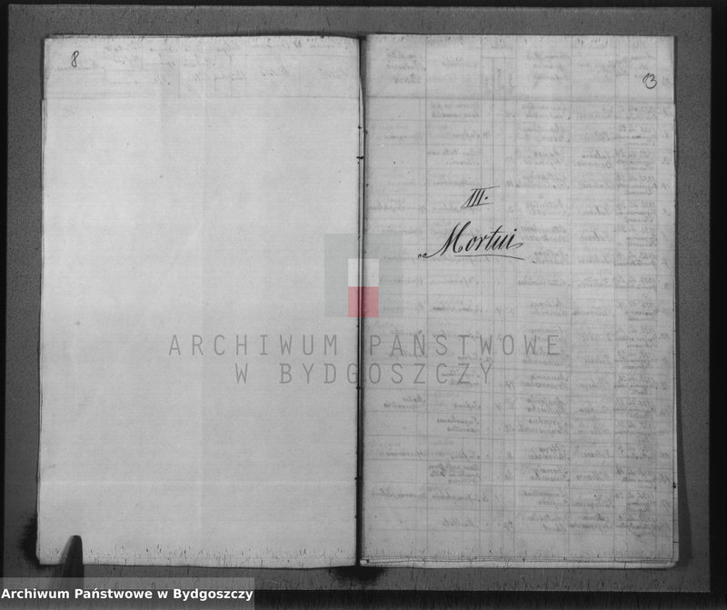 image.from.unit.number "Liber duplicatus : Baptisatorum, Copulatorum et Mortuorum de anno 1855 Parochiae Catholicae Pacostensis sitae in Districtu Szubiniensi"