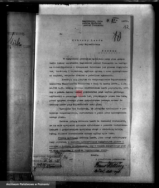 Obraz 16 z jednostki "Nadzór nad gospodarką w lasach majętności Łagiewniki"