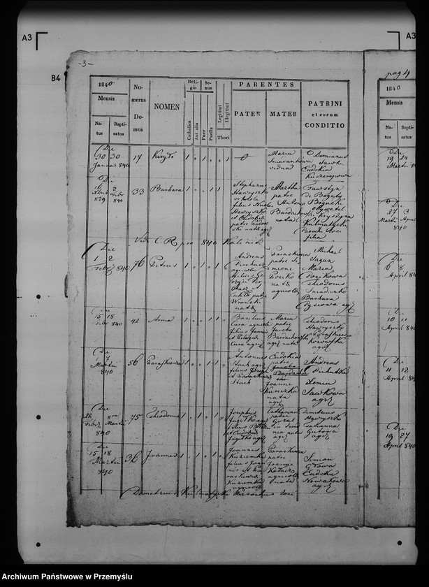 Obraz 8 z jednostki "[Kopie ksiąg metrykalnych parafii Maćkowice z filią Kosienice (dekanat Przemyśl)]"