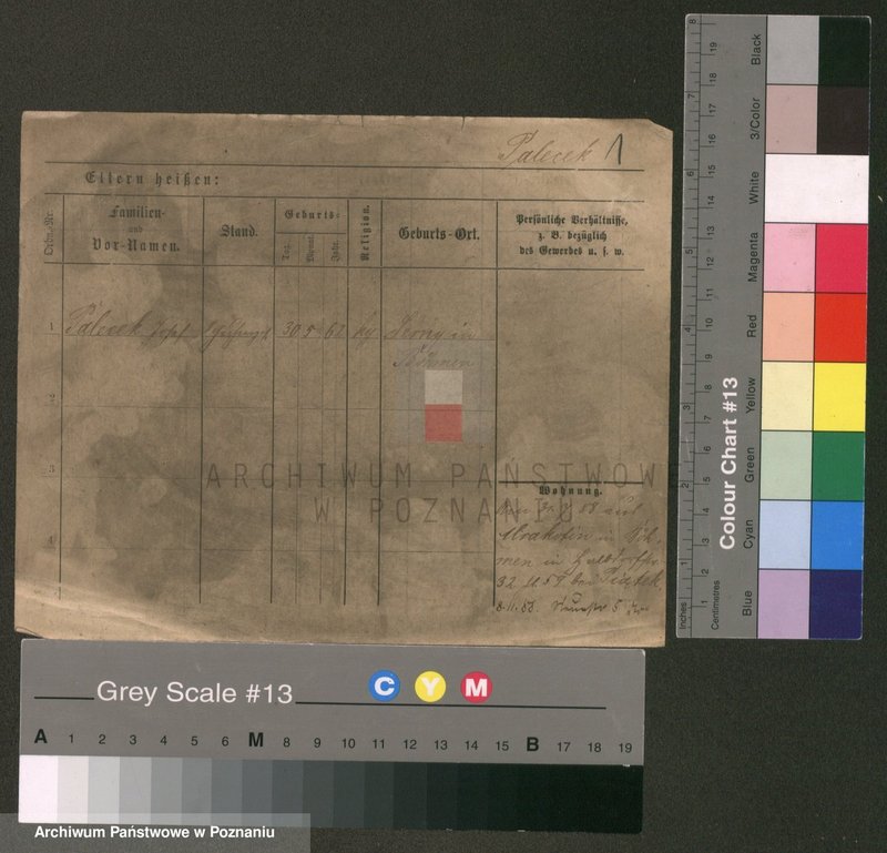 Obraz 1 z jednostki "Palecek - Paluszewski"