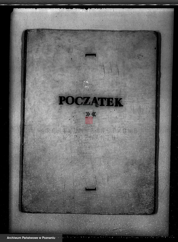 Obraz 3 z jednostki "Nadzór nad gospodarką w lasach Konarzewa powiatu rawickiego"