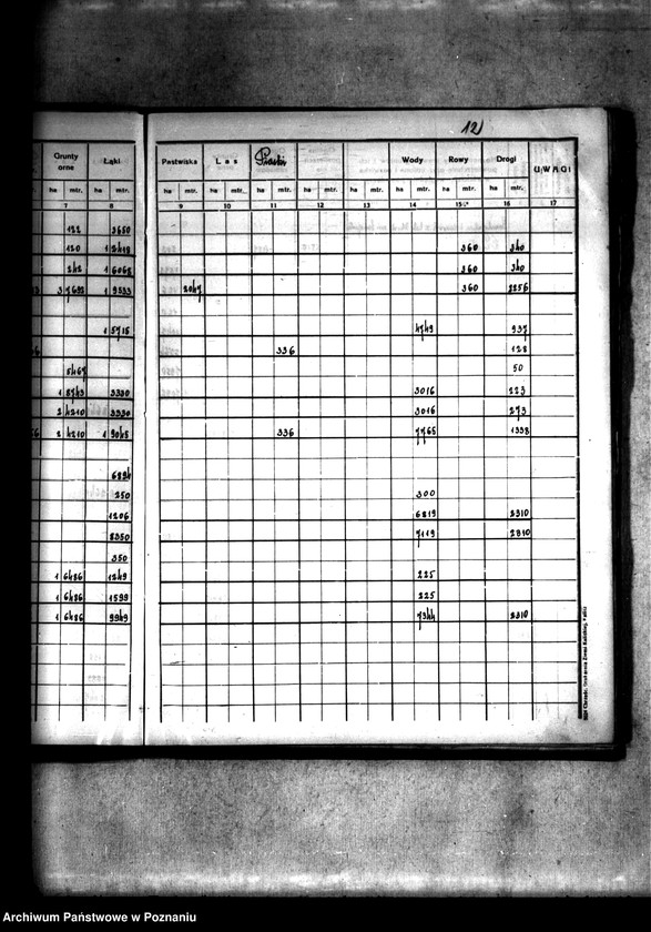 Obraz 16 z jednostki "Rejestr pomiarowy wsi Szczepidło powiatu konińskiego"