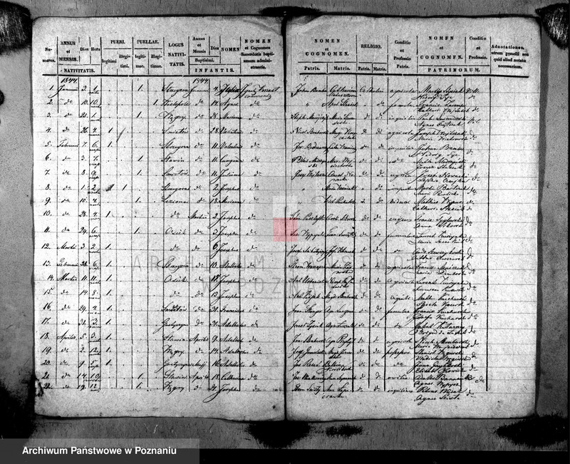 Obraz 2 z jednostki "Liber baptisatorum"