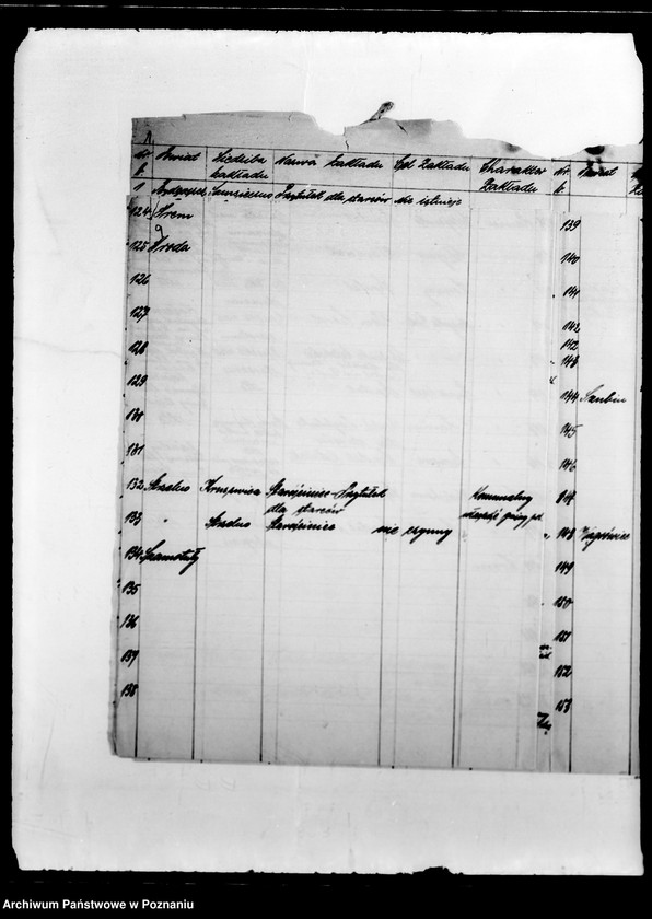 Obraz 13 z jednostki "/Nadzór i kontrola nad działalnością instytucji opiekuńczych/"