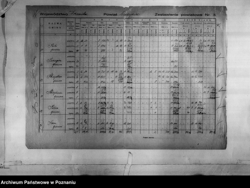 Obraz 18 z jednostki "/Statystyka produkcji rolnej - zestawienie powiatowe - Międzychód/"