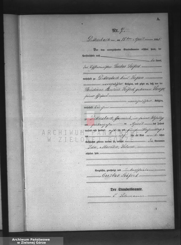 Obraz 10 z jednostki "[Księga aktów urodzeń]"