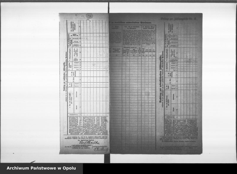 Obraz 11 z jednostki "[Okręg spisowy Nr 30. Spis ludności, 3 XII 1867]"