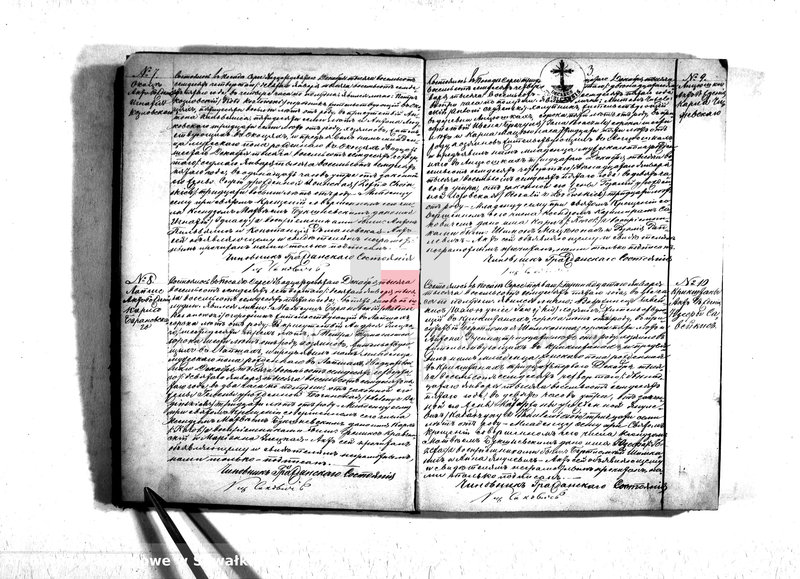 Obraz 5 z jednostki "Duplikat serejskago prichoda na 1875 god"