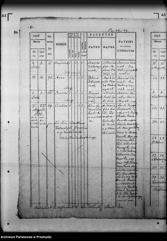 Obraz 14 z jednostki "[Kopie ksiąg metrykalnych parafii Radenice z filiami Czyżowice, Podliski, Wiszenka (dekanat Mościska)]"