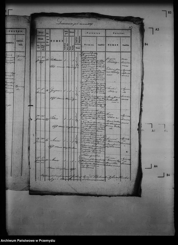 Obraz 15 z jednostki "[Kopie ksiąg metrykalnych parafii Mołoszkowice z filią Leśniowice (dekanat Jaworów)]"
