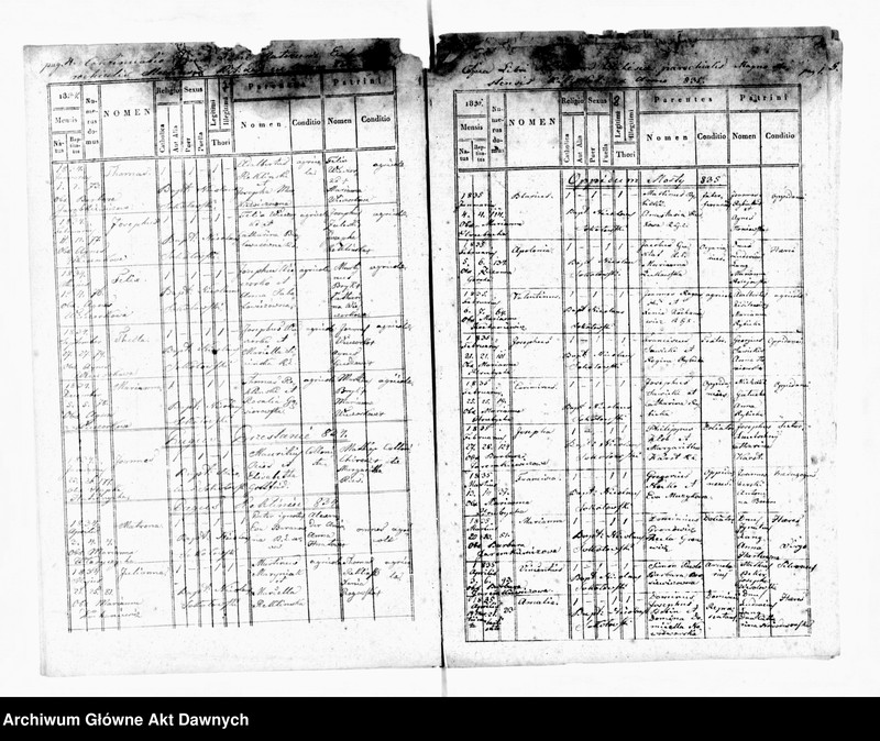 image.from.unit.number "Parafia: Mosty Wielkie. Dekanat: Bełz. Ekstrakty z księgi metrykalnej urodzeń, ślubów i zgonów dla miasta Mosty Wielkie i wsi: Butyny, Chlewczany*, Domaszów*, Przystań, Rekliniec, Dworce, Maziarnia**, Stanisłówka, Sałasze*, Strzemień, Wolica, Choronów*."