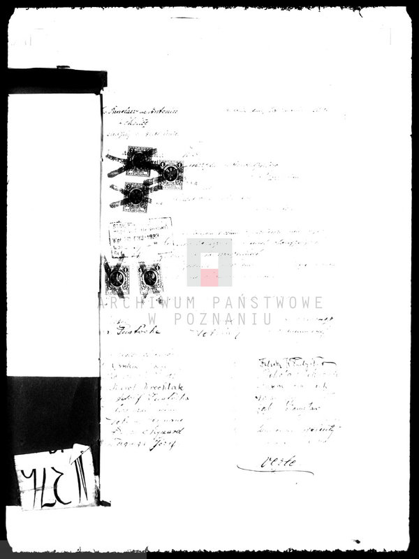 Obraz 8 z jednostki "Towarzystwo Pszczelarzy w Antoninie powiatu ostrowskiego"