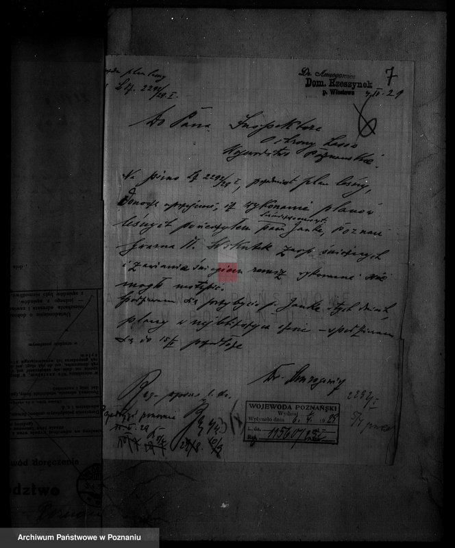 Obraz 12 z jednostki "/Majętność leśna Rzeszynek powiat mogileński"