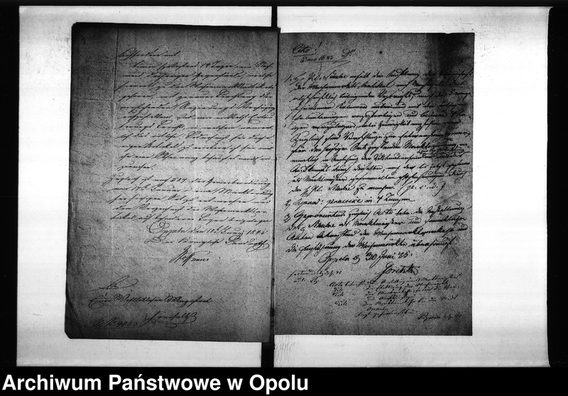 Obraz 7 z jednostki "Acta des Magistrats zu Oppeln betreffend die Markt-Ordnung für hiesige Stadt Vol I"