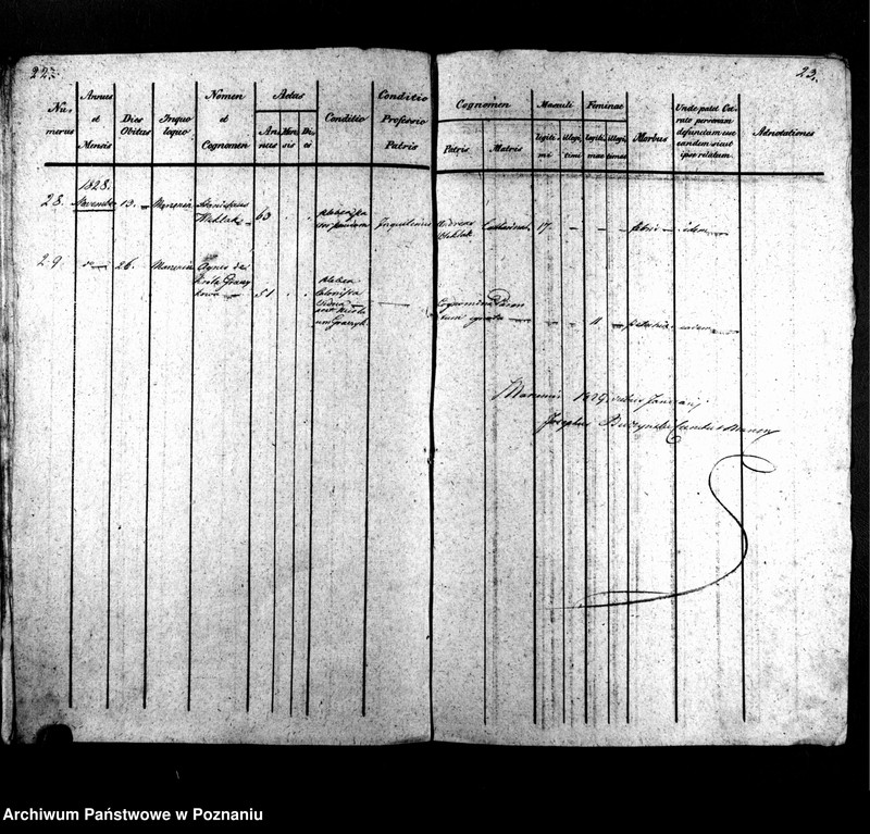 Obraz 14 z jednostki "Libri metrices baptisatorum, desponsatorum, mortuorum"