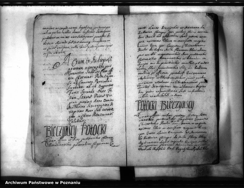 Obraz 14 z jednostki "Inscriptiones [inducta]"