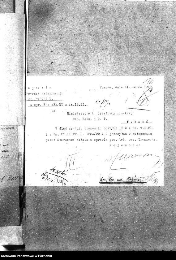 Obraz 20 z jednostki "Pow. lekarz Weterynaryjny Koźmin"