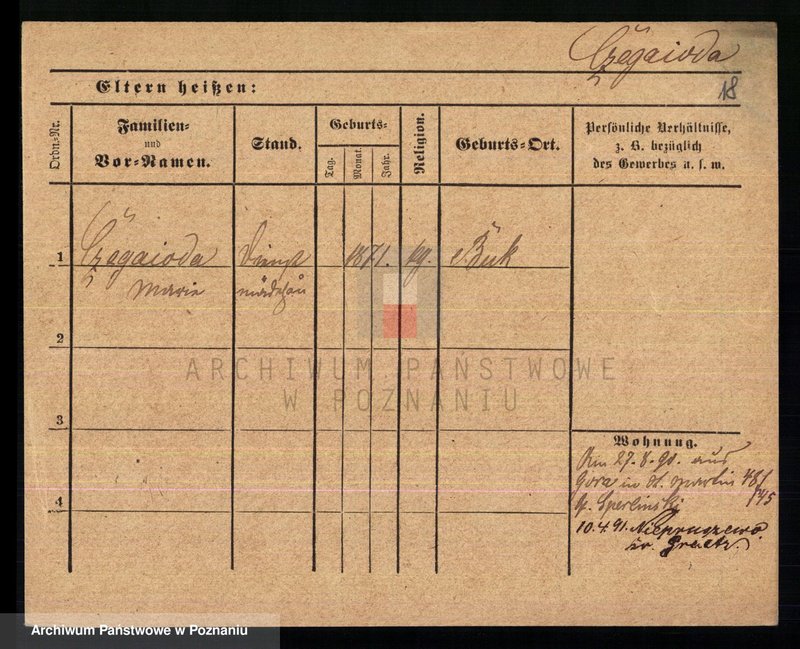 Obraz 20 z jednostki "Czeczewski - Czernielewski"