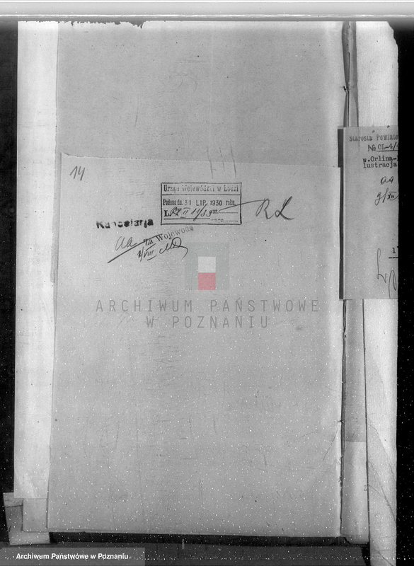 Obraz 18 z jednostki "Gmina Rzgów powiat koniński /nadzór nad gospodarką leśną/"