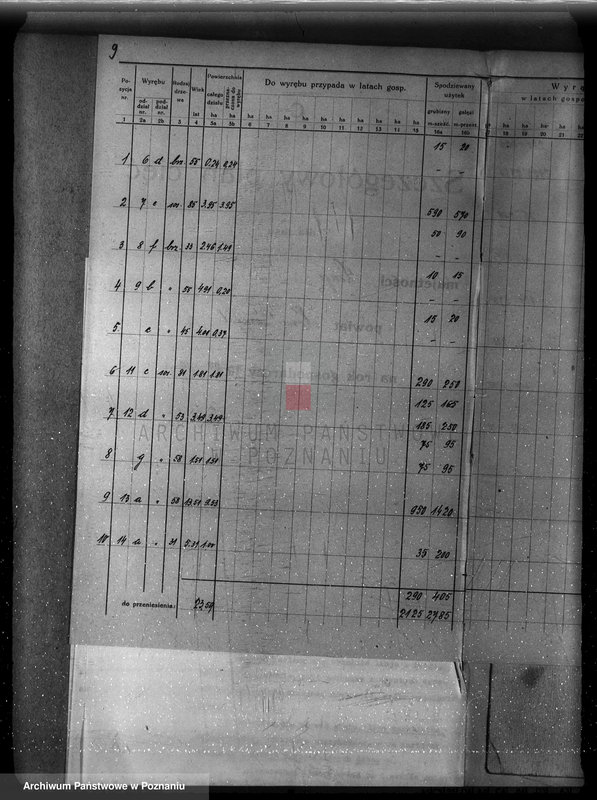 Obraz 15 z jednostki "Plan urządzenia gospodarstwa leśnego dla lasu majętności Lizie powiat nowotomyski"