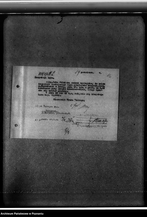 Obraz 20 z jednostki "Majętność leśna Godurowo w powiecie gostyńskim"