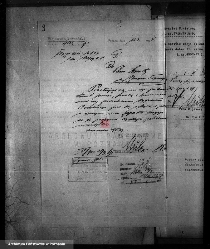 Obraz 14 z jednostki "Zalesienie nieużytków w powiecie nowotomyskim"