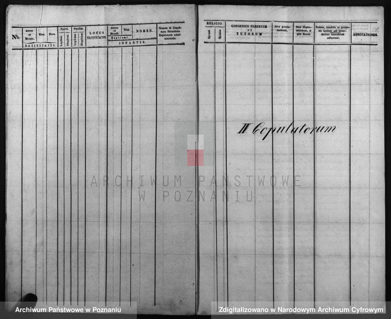 Obraz 11 z jednostki "Duplicatus baptisatorum, copulatorum, mortuorum"