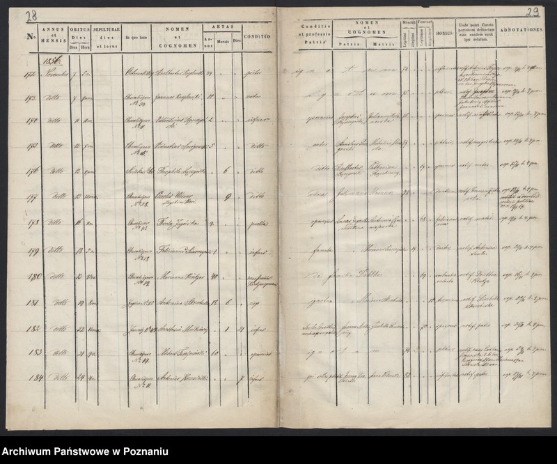 Obraz 17 z jednostki "Księga zgonów"
