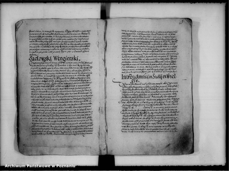 Obraz 16 z jednostki "Inscriptiones, relationes [inducta]"