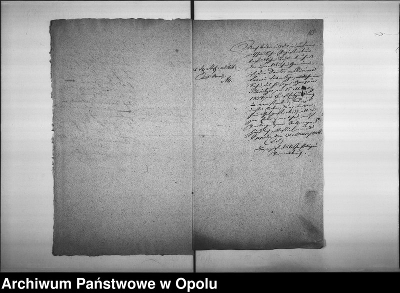 Obraz 13 z jednostki "Acta des Magistrats zu Oppeln betreffend Ertheilung von Geburts pp. Attesten für Juden"