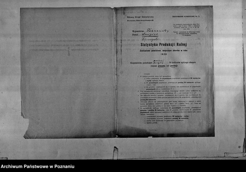 Obraz 3 z jednostki "/Statystyka produkcji rolnej - zestawienie powiatowe - Śmigiel"