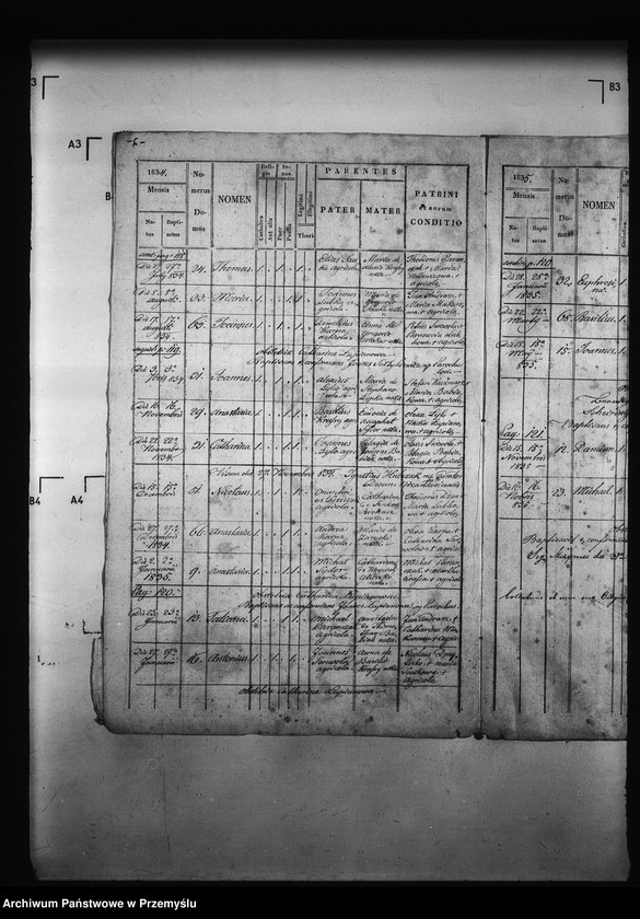 Obraz 10 z jednostki "[Kopie ksiąg metrykalnych parafii Miżyniec z filiami Gdeszyce, Zrotowice (dekanat Niżankowice)]"