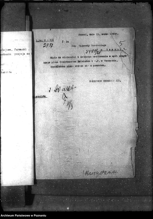 Obraz 9 z jednostki "- księgosusz -"