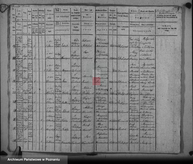 image.from.unit.number "Liber baptisatorum, copulatorum u. mortuorum"
