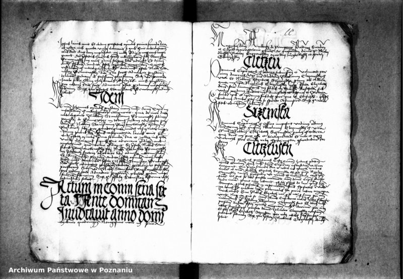 Obraz 16 z jednostki "Inscriptiones, relationes, decreta [inducta]"