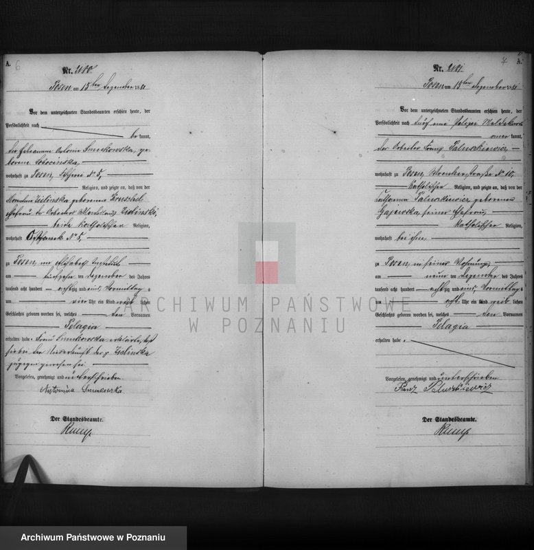 Obraz 5 z jednostki "Księga urodzeń t. V"