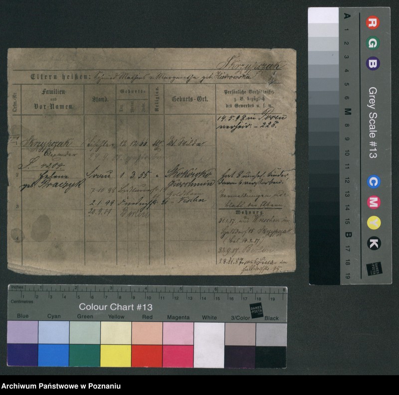 Obraz 6 z jednostki "Skrzypczak (żonaci - samotni mężczyźni)"