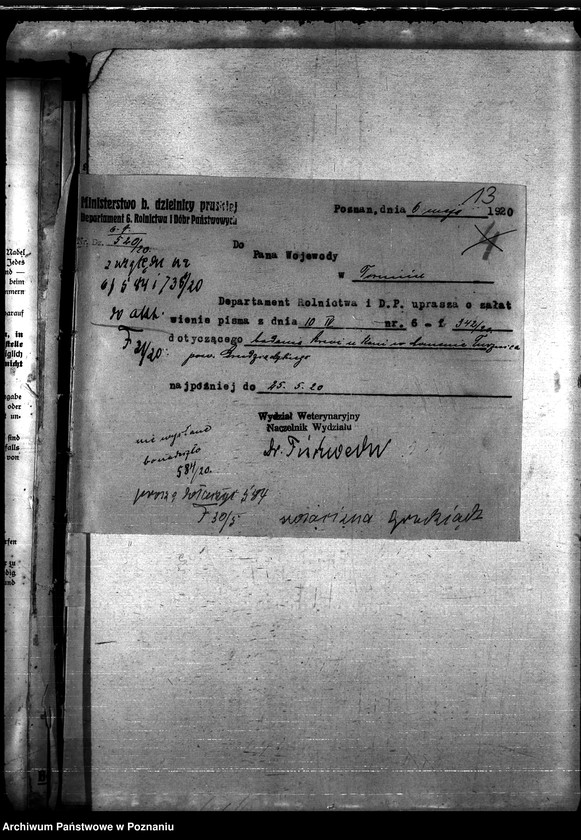 Obraz 17 z jednostki "Nosacizna - Grudziądz"