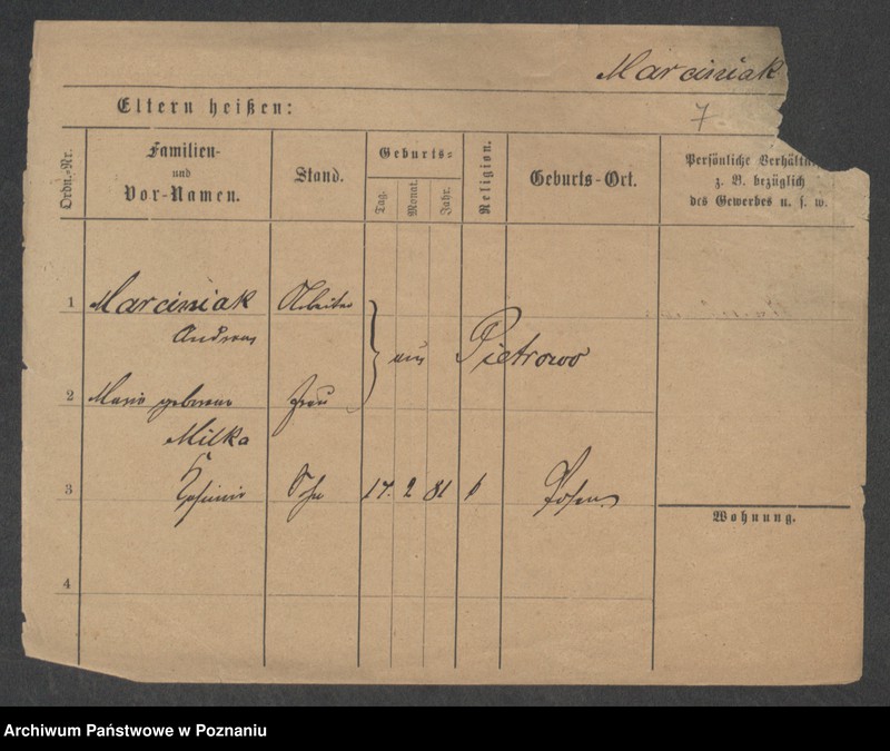 Obraz 9 z jednostki "Marciniak (żonaci i wdowy)"