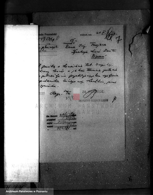 image.from.unit.number "Majętność leśna Lechlin powiat wągrowiecki"