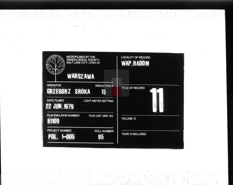 Obraz 1 z jednostki "[Duplikat akt urodzonych, zaślubionych i zmarłych parafii Wyśmierzyce z 1875 roku]"