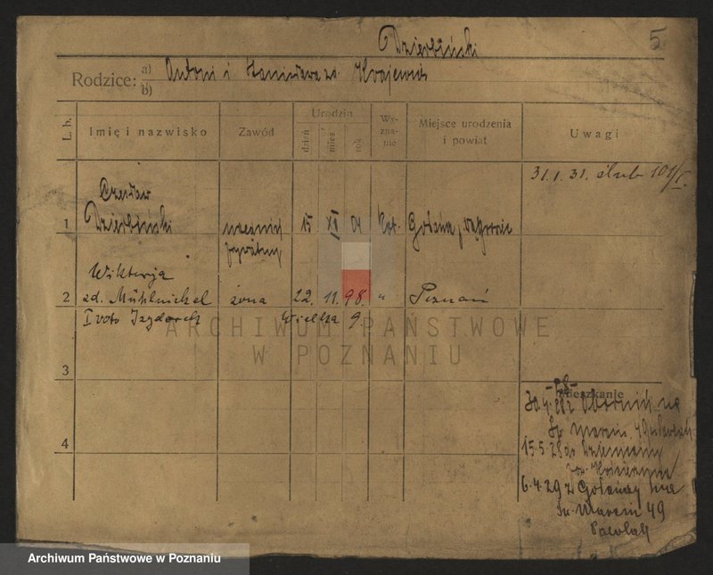 Obraz 7 z jednostki "Dzierbicka - Dzikiewicz"