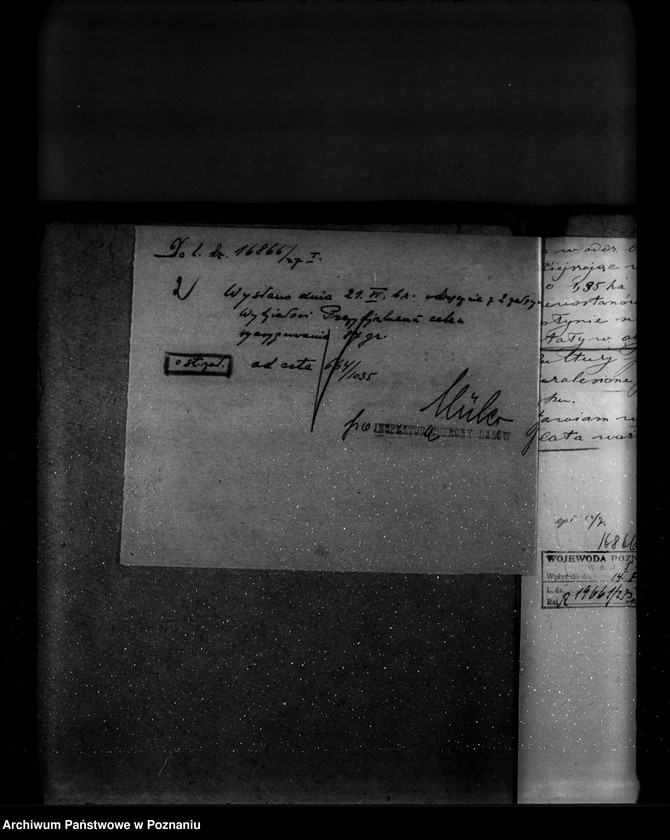 Obraz 6 z jednostki "Majętność leśna Wioska powiat wolsztyński"