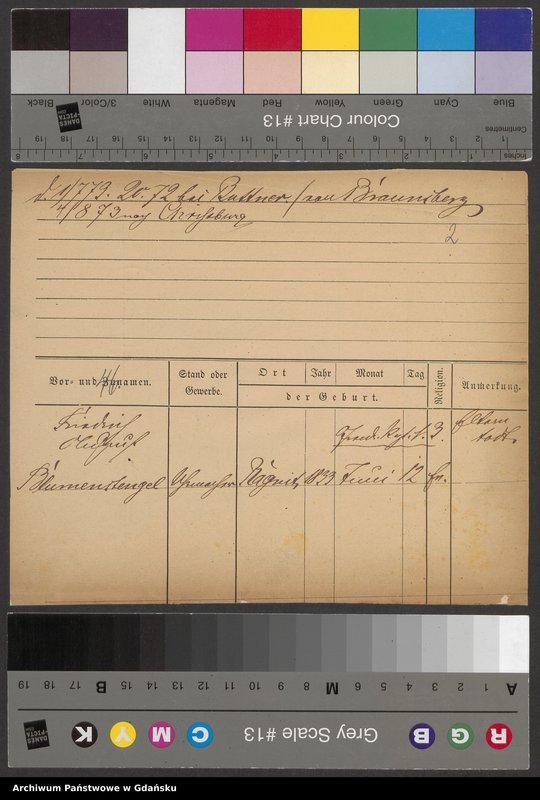 image.from.unit.number "Karty meldunkowe: Blumenstengel - Boedcke"