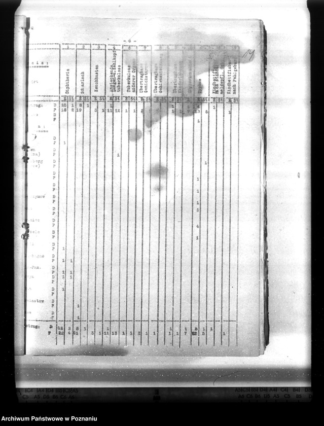 Obraz 20 z jednostki "Statistik der Krankheiten im Wartheland"