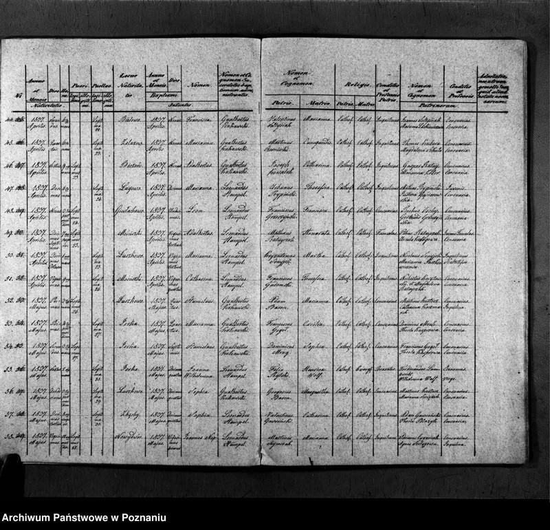 Obraz 15 z jednostki "Duplicatum copulatorum, baptisatorum, mortuorum"