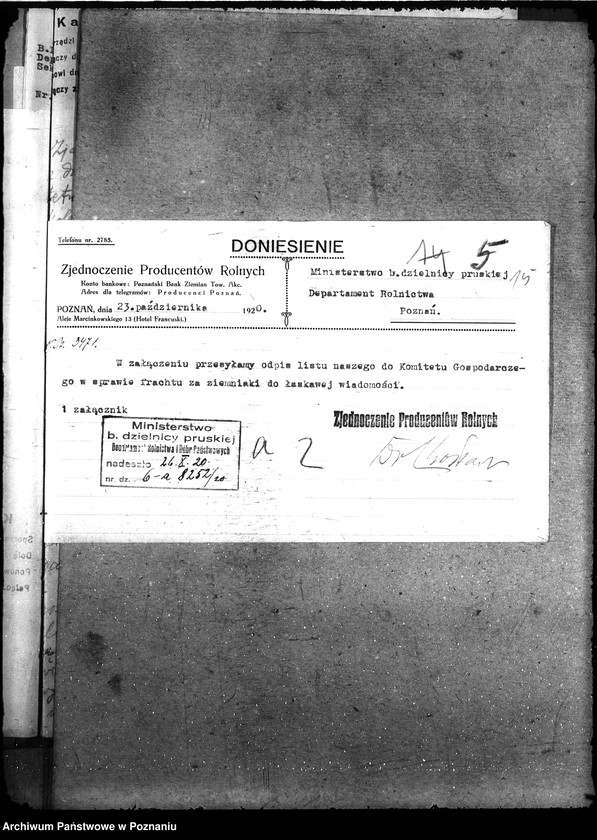 Obraz 19 z jednostki "Ceny kartofli"