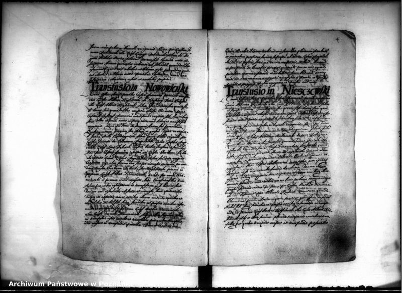 Obraz 6 z jednostki "Inscriptiones [inducta]"