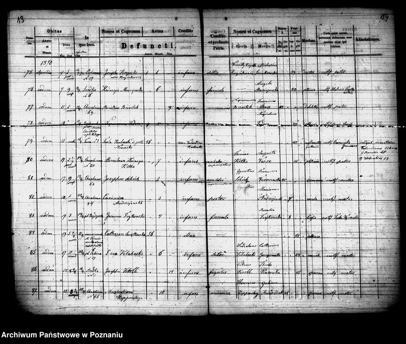 Obraz 8 z jednostki "Księga zgonów"